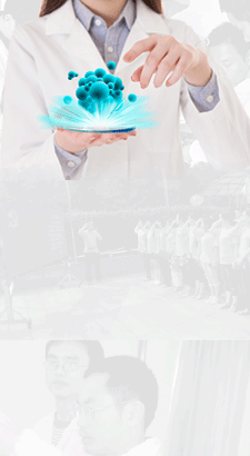 电子游戏十大正规官方网址