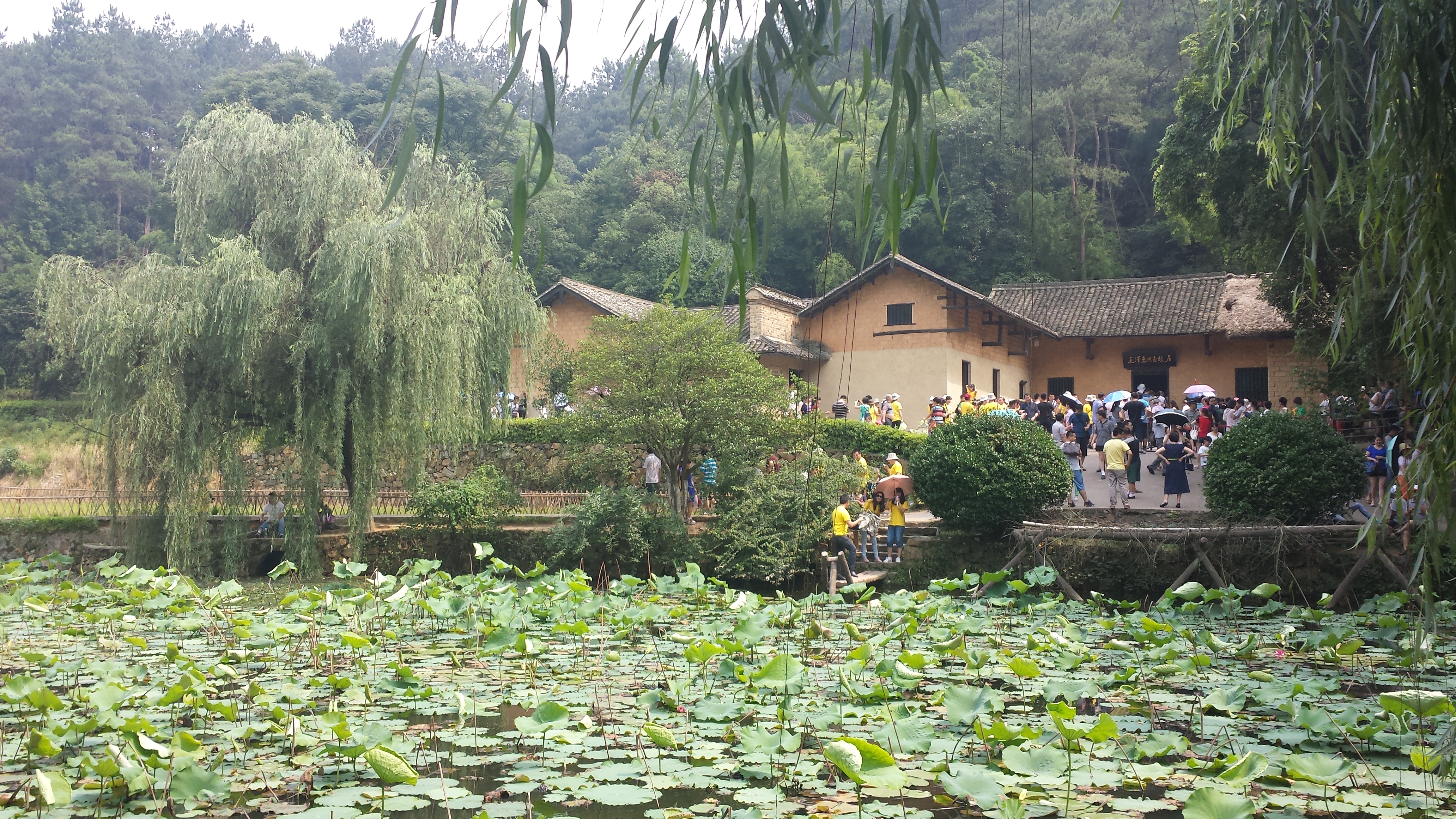 电子游戏十大正规官方网址