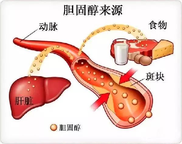电子游戏十大正规官方网址