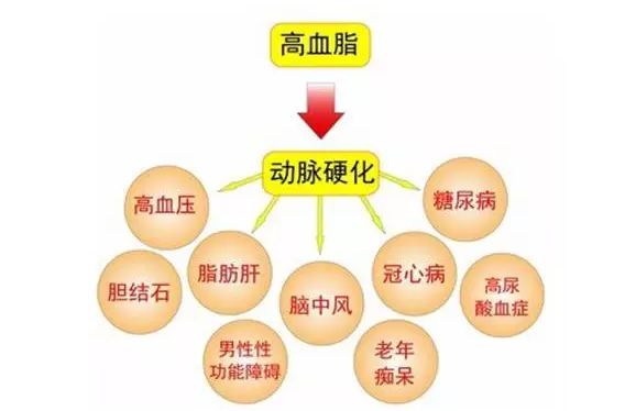 电子游戏十大正规官方网址