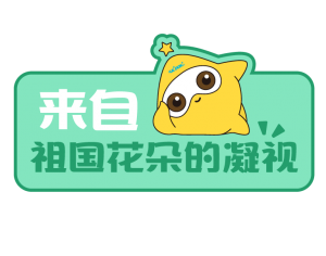 电子游戏十大正规官方网址