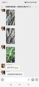 来自菜篮子的信任